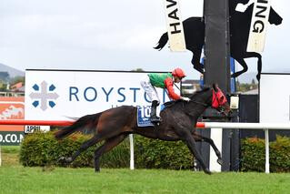 Indecision takes out the Listed NZB Finance Sprint. Photo: Race Images